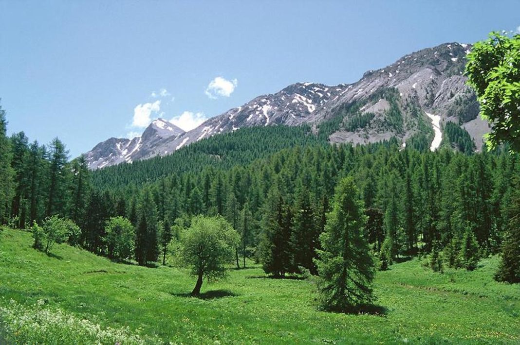 ONFxMND-copyright ONF