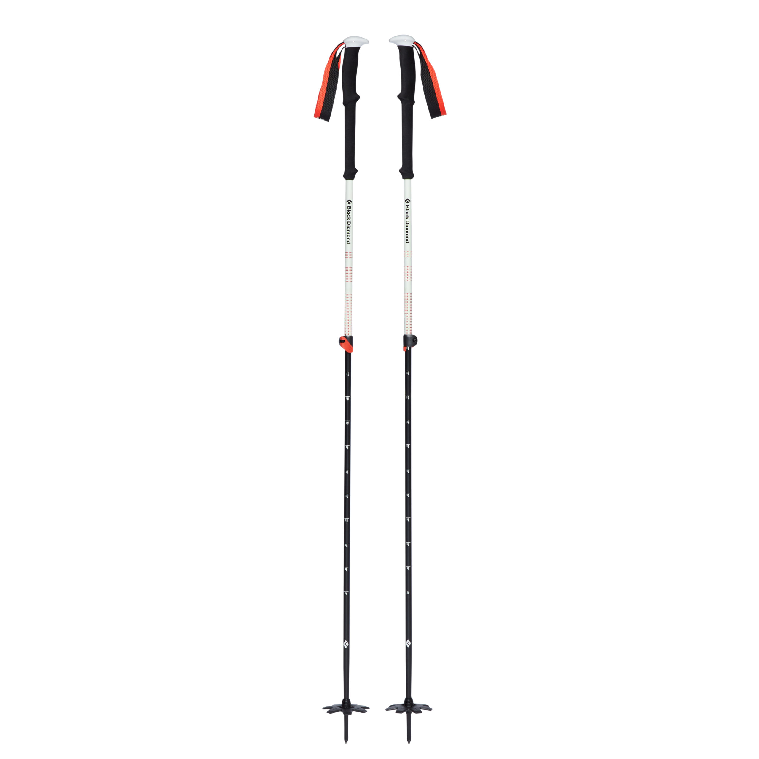 111589_0000_EXPEDITION-2-SKI-POLES_NO-COLOR_02_