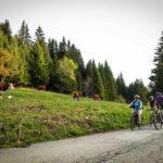 Au coeur des cols secrets du Chablais-Savoie ©L.Terrail-Grandes Itinérances – BD