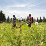 SogI_210366_SB – copie