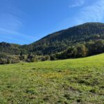 WhatsApp Image 2025-10-07 at 11.55.01