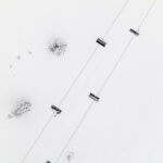 MND_DAHU_LA-ROSIERE©A.ABONDANCE-13 copie